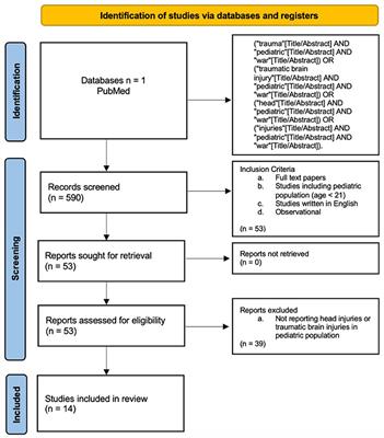 Pediatric traumatic brain injuries in war zones: a systematic literature review